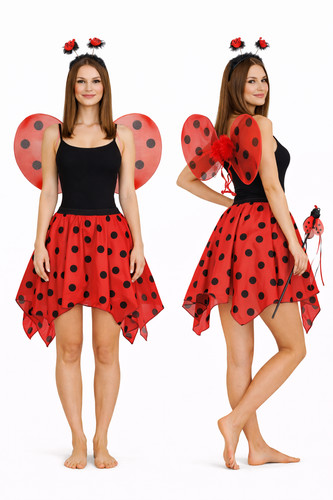 Adults ladybird skirt wings - adults,