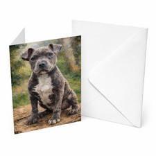 Staffordshire Bull Terrier Dog
