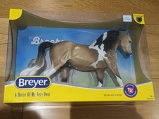 Breyer Brooks TSC Limited
