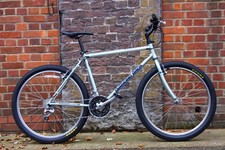 Diamond Back Topanga Mountain