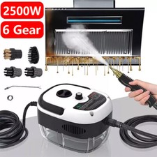 2500W Portable Handheld Steam