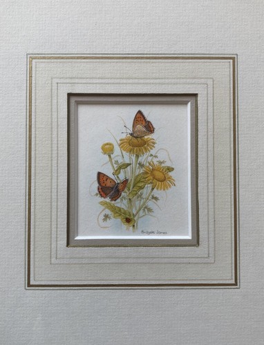 Vintage watercolour - vintage,