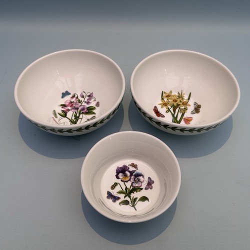 Portmeirion botanic garden - botanic,