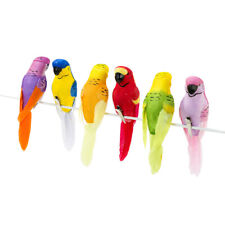 Tropical Birds Parrots Party