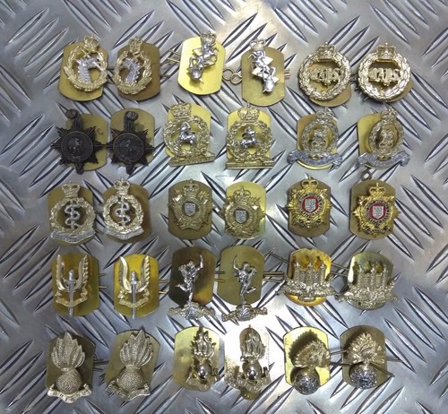 Collar dogs and lapel - lapel, badges