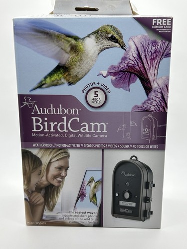 Audubon bird cam with - bird,