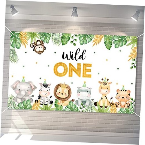 Wild one backdrop - wild, banner