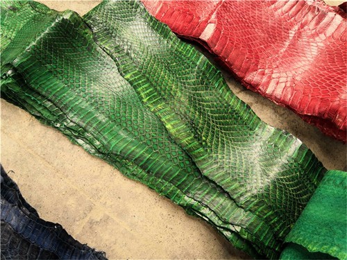 Genuine snakeskin leather - genuine,