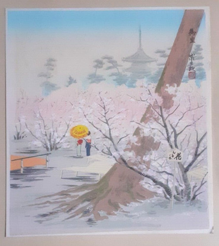 Tokuriki cherry blossom - tokuriki,