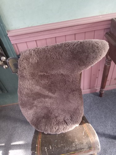 Horse english saddle sheep - ,