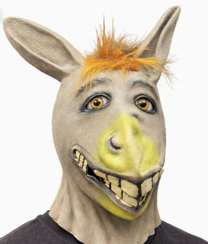Grey donkey adult - grey, full