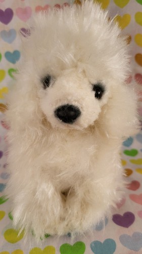 Russ small white poodle - white, dog