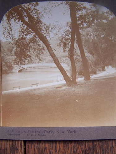 Stereoscopic card central park - central,