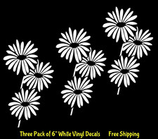 Daisy Flowers Collection Three