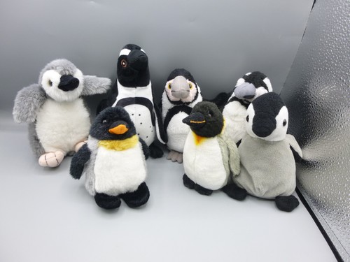 Bundle penguins birds - bundle,