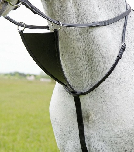 Shires velociti gara bib - velociti,