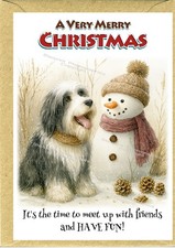 Bearded Collie Dog Christmas