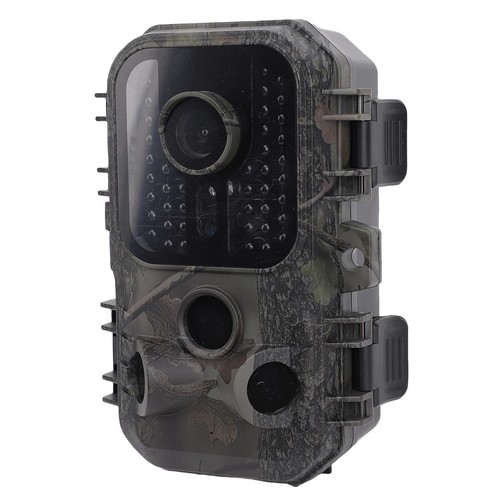Scouting camera trail - scouting,