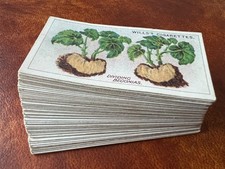 Will's Cigarette Cards Full Set of 50 - Gardening Hints 1923.....Free UK P&P