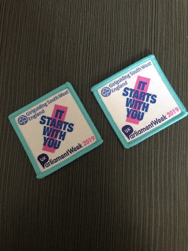 Girlguiding parliament week - girlguiding,