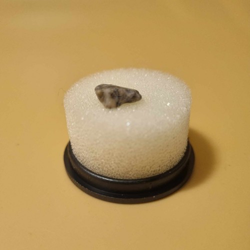 Polished raw mineral - &,