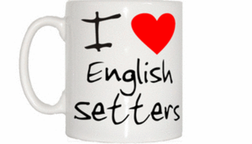 Love heart english setters - i,