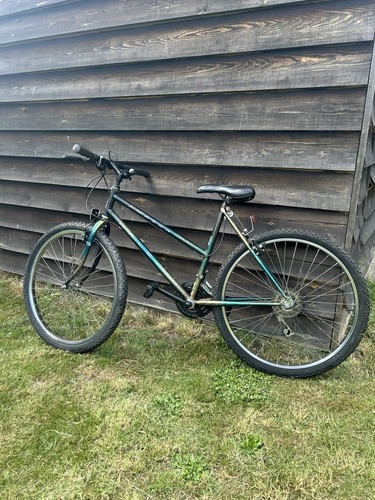 Raleigh amazon mountain - 26”,