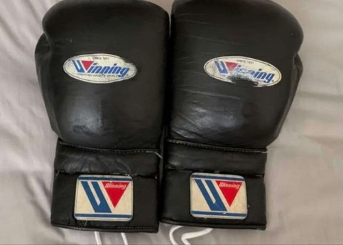 Winning boxing gloves - winning,