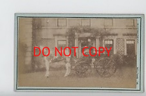 Horse and buggy drive - horse,
