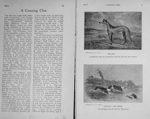 Old antique print - print, 1916