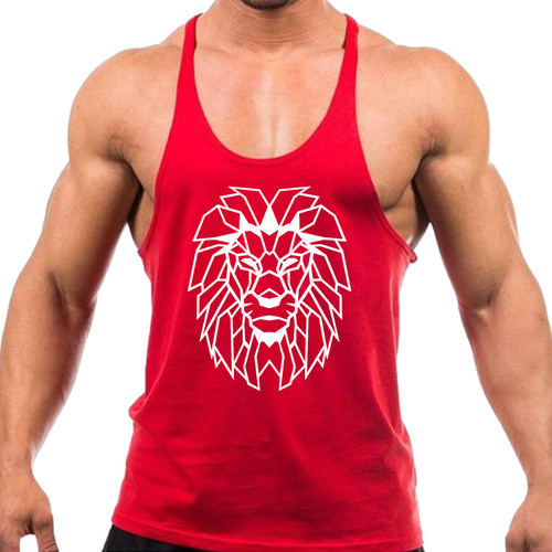 Geometric lion head - head, gym