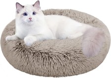 Cat Beds for Indoor Cats