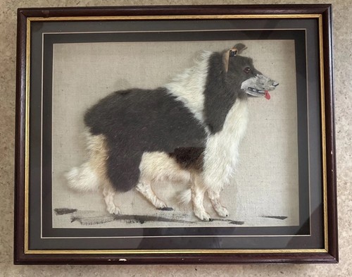 Kitsch vintage collie - kitsch,