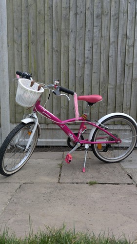 Girls pink twin bicycle 6 - girls,