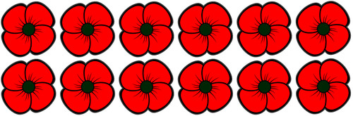 Poppies poppy day - or,