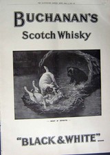 Old Print Ref.954 1912