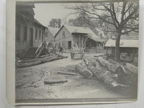 Lumber yard sawmill - yard, logs