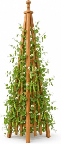 Wooden obelisk trellis - trellis, the