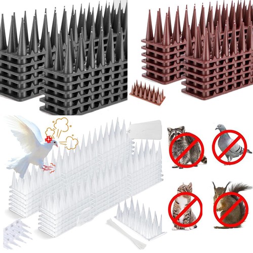 20m bird spikes - 20m, pigeon