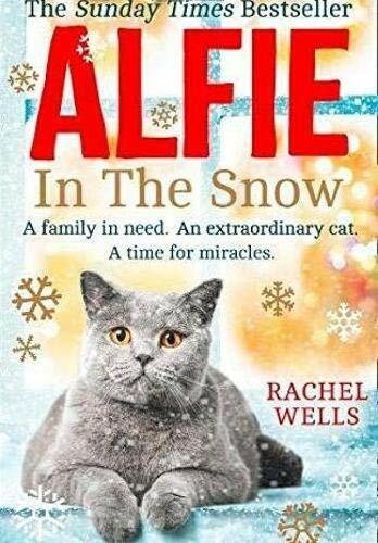 Alfie the snow - in,