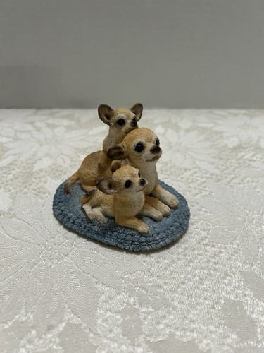 Stone critter chihuahua with - stone,