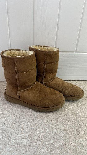 Ugg chestnut classic short - classic, mid