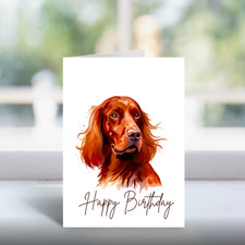   Irish Setter Birthday Card |