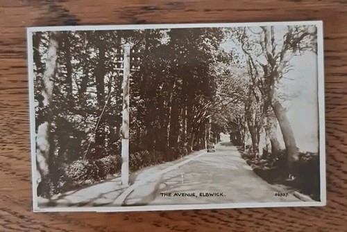 The avenue elswick near - avenue,
