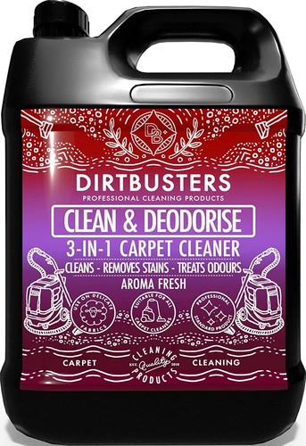 Dirtbusters carpet cleaner - dirtbusters,