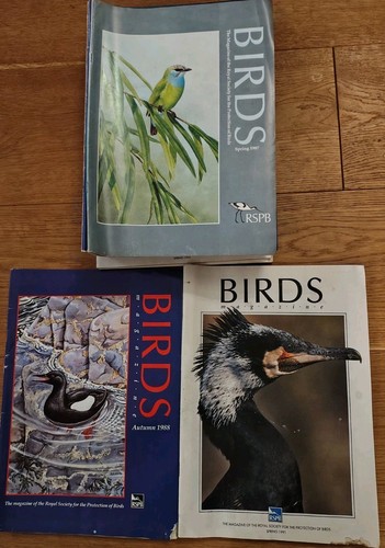 Rspb birds magazine - magazine, spring