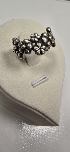 Retired pandora two tone - retired, two-tone