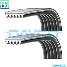 VRIBBED BELT SET PVE003 FOR