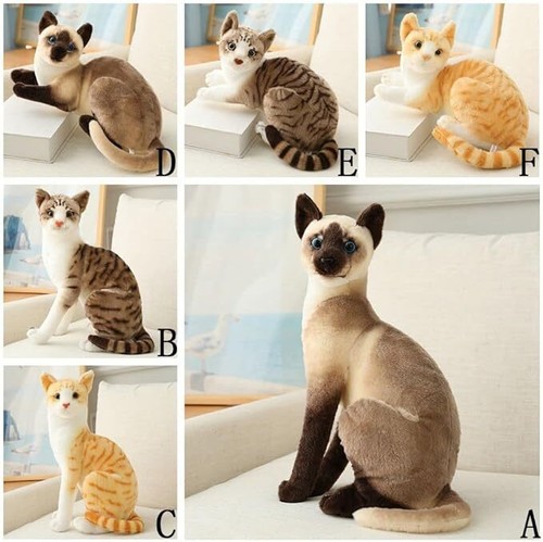 Lifelike cute realistic - realistic, cat