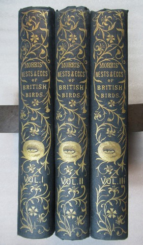 1875 natural history the - natural, of